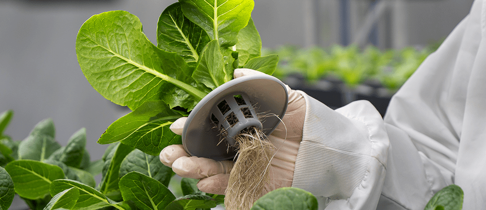 재배실 이미지 2