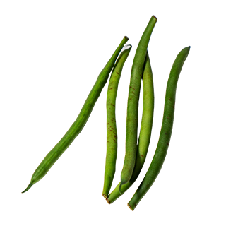 그린빈(껍질콩)